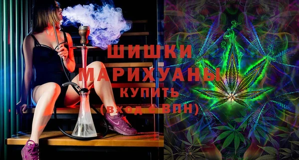 ГАЛЛЮЦИНОГЕННЫЕ ГРИБЫ Фёдоровский