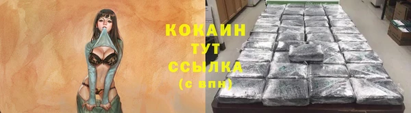 эйфоретик Бородино