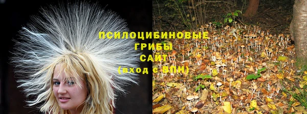 прущий лед Бугульма