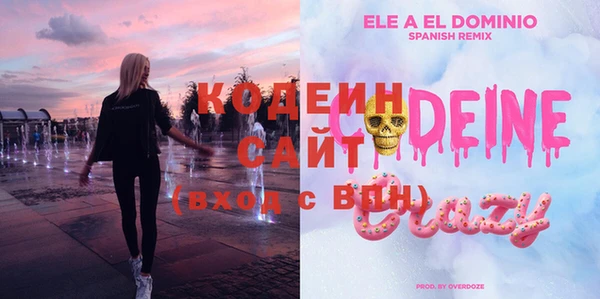 эйфоретик Бородино