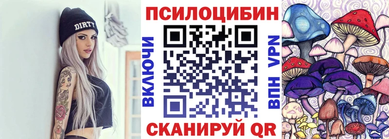 Псилоцибиновые грибы мицелий  купить закладку  Камызяк 