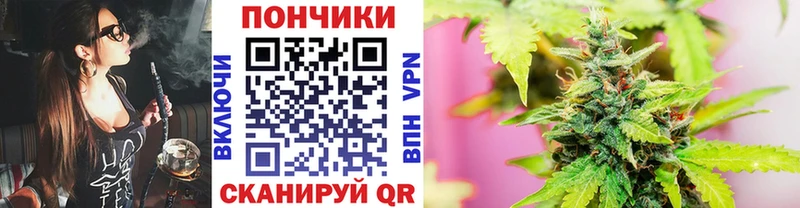 ссылка на мегу   продажа наркотиков  Камызяк  Шишки марихуана семена 